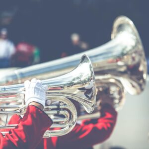 30-Minute Lesson – Piano/Vocal/Music Theory/Brass - $40